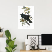 Common Raven, John audubon Poster (Heimbüro)