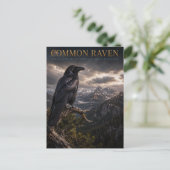 Common Raven Mountain Wilderness TIERWELT Postkarte (Stehend Vorderseite)