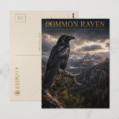 Common Raven Mountain Wilderness TIERWELT Postkarte (Vorne/Hinten)