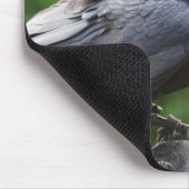 Common Raven Mousepad (Ecke)