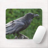 Common Raven Mousepad (Mit Mouse)
