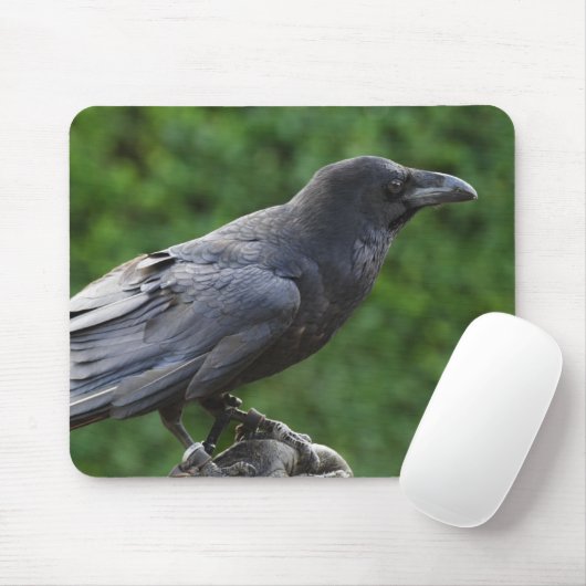 Common Raven Mousepad (Mit Mouse)