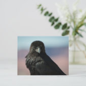 Common Raven Postkarte (Stehend Vorderseite)