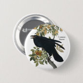 Common Raven von Audubon, Black Crow, Birdwatcher Button (Vorne & Hinten)