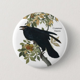 Common Raven von Audubon, Black Crow, Birdwatcher Button