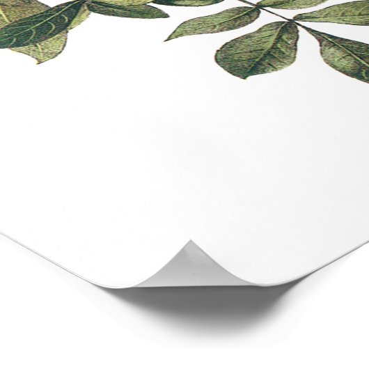 Common Raven von Audubon Poster (Ecke)