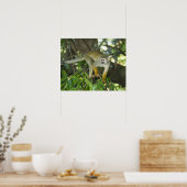 Common Squirrel Monkey, (Saimiri sciureus), Rio Poster (Küche)