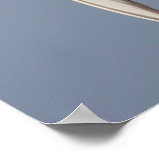 Common Tern Poster (Ecke)