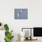 Common Tern Poster (Heimbüro)