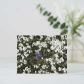 Common Yarrow & Grape Hyacinth DIY Postkarte (Stehend Vorderseite)