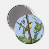 Common Yellowthroat Warbler magnet (Vorderseite/Rückseite)