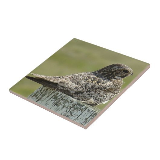 CommonB2 Nighthawk Fliese (Seite)