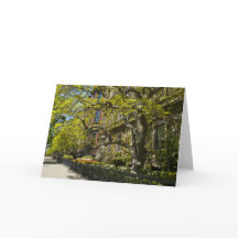 Commonwealth-Allee Gbd, Boston MA