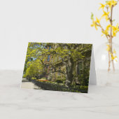 Commonwealth-Allee Gbd, Boston MA Karte (Gelbe Blume)