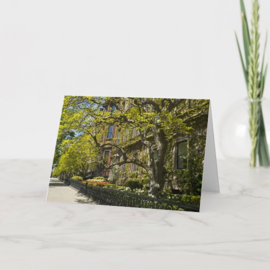 Commonwealth-Allee Gbd, Boston MA Karte (Vorderseite)