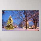 Community Christmas Tree, Worthington, Ohio Poster (Vorne)