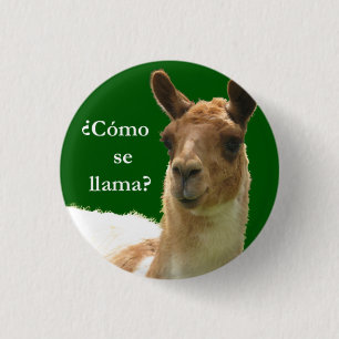 Cómo Se-Lama? Button