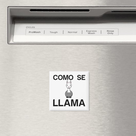 COMO SE LLAMA MAGNET (In Situ (Geschirrspüler))