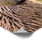 "Como se llama?" Poster (Ecke)