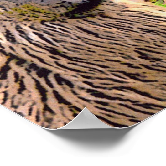 "Como se llama?" Poster (Ecke)