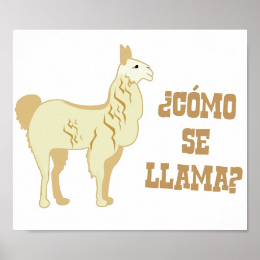 Como Se Llama? Wie heißt du? Poster (Vorne)