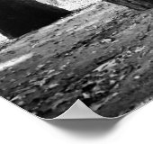 Como-See Monochrome Poster (Ecke)