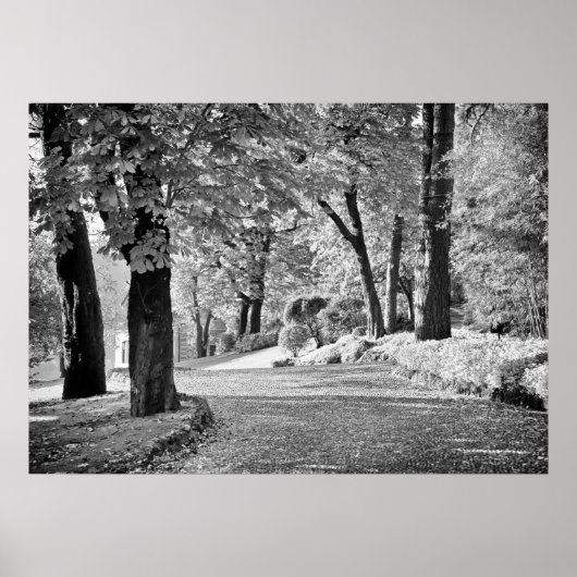 Como-See Monochrome Poster (Vorne)