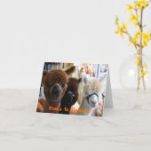 Como te Lamas? Notecard Karte (Gelbe Blume)