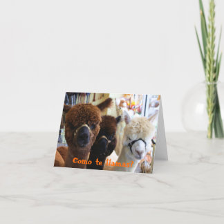 Como te Lamas? Notecard Karte