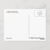 Comox Ferry Postkarte (Rückseite)