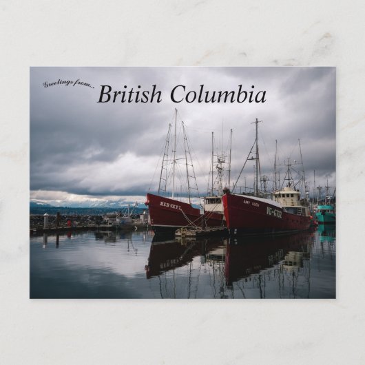 Comox Municipal Marina British Columbia Kanada Postkarte (Vorderseite)