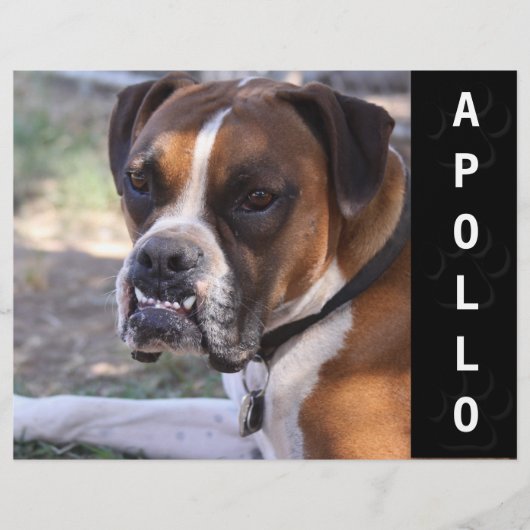 Comp-Card-Headshot Flyer (Vorne)