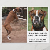 Comp-Card-Headshot Flyer (Hinten)