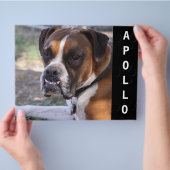 Comp-Card-Headshot Flyer (Hand)