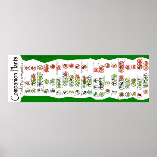 Companion Pflanze Poster: Die Top 20 Garden Pflanz Poster (Vorne)