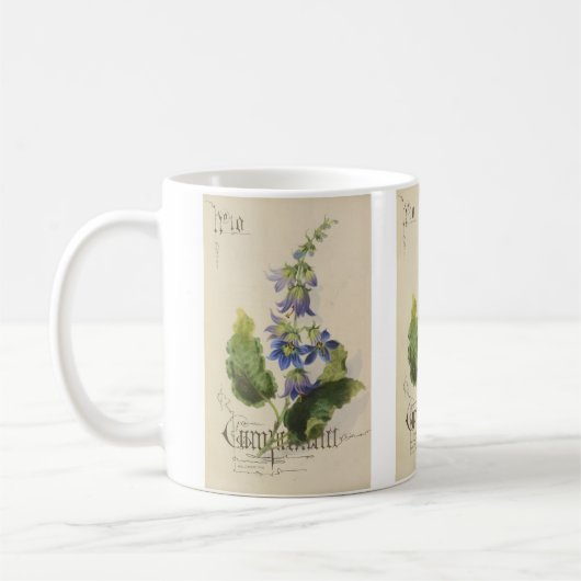 Companula von Paul Jerrard Kaffeetasse (Links)