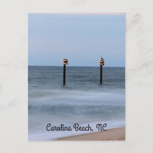 Company for Sunrise Vertikalpostcard Postkarte (Vorderseite)