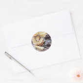 Comparing Apples and Oranges Stickers (Umschlag)