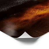 Complex Design On Semi Transparent Hot Air Balloon Poster (Ecke)