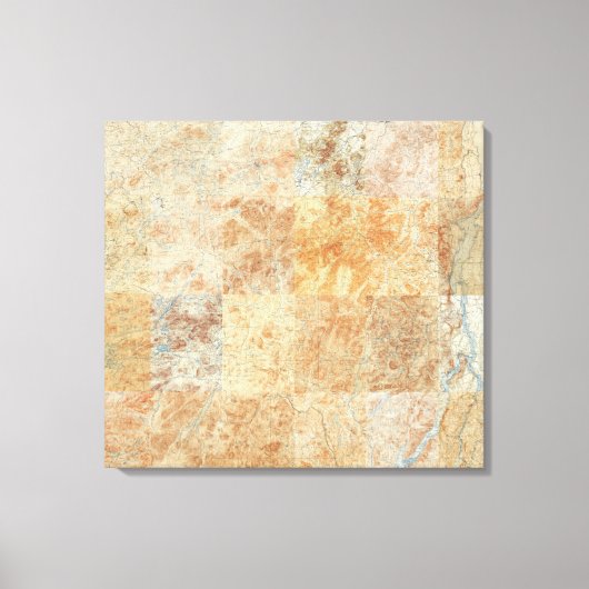 Composite of 24 Adirondack Topographic Maps Leinwanddruck (Vorderseite)
