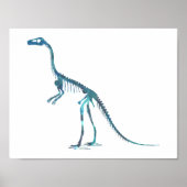 Compsognathus-Skelett Poster (Vorne)