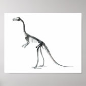Compsognathus-Skelett Poster (Vorne)