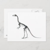 Compsognathus-Skelett Postkarte (Vorne/Hinten)