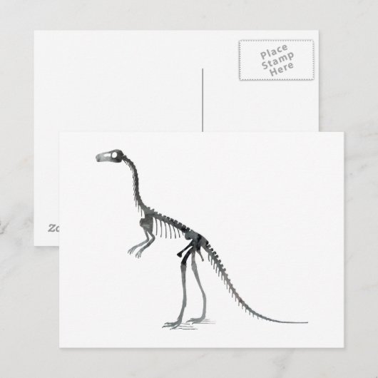 Compsognathus-Skelett Postkarte (Vorne/Hinten)