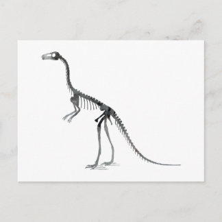 Compsognathus-Skelett Postkarte