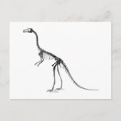 Compsognathus-Skelett Postkarte (Vorderseite)