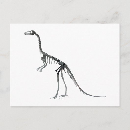 Compsognathus-Skelett Postkarte (Vorderseite)