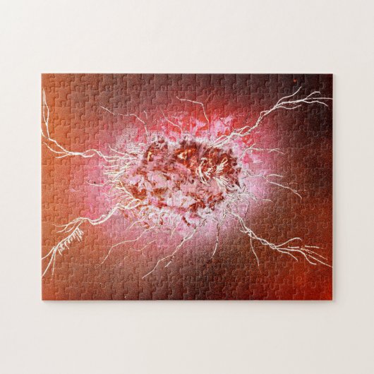 Computer Bug Puzzle (Horizontal)