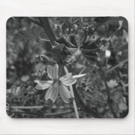 COMPUTER DESKMAT MAUSPAD ART&DESIGN