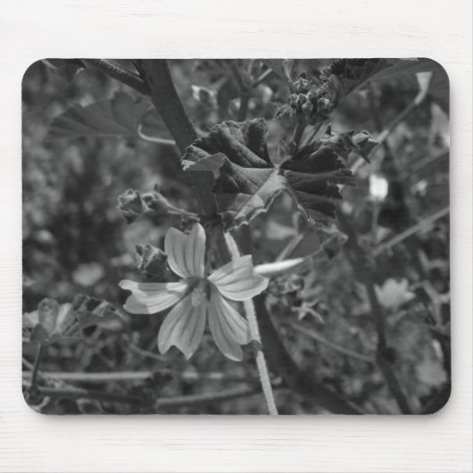 COMPUTER DESKMAT MAUSPAD ART&DESIGN (Vorne)